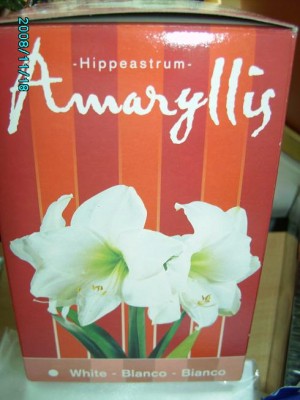 PICT0270.JPG