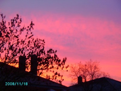 PICT0267.JPG