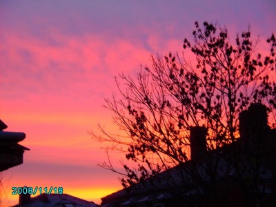 PICT0266.JPG