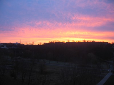 IMG_8378.JPG