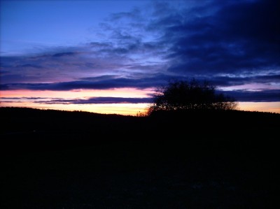 DSCI0005.JPG