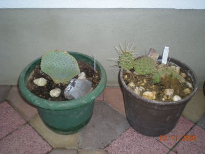 DSCN19920001.JPG