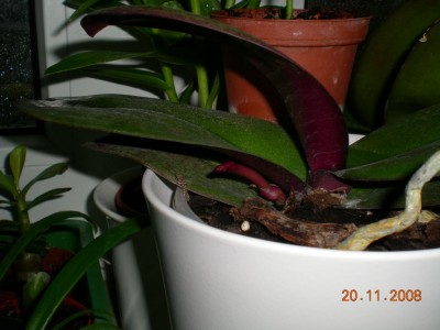 DSCN20010001.JPG