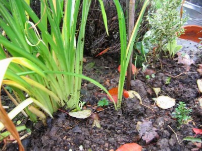 Größenänderung IMG_2966.JPG