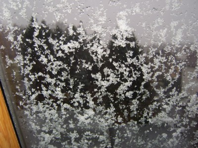 DSCI0001 (2).JPG