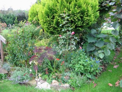 Größenänderung IMG_2654.JPG