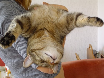 Mai 05 003.jpg