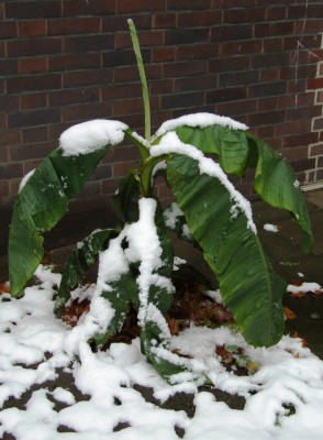 DSCF8198.JPG