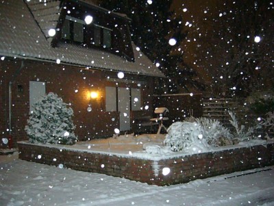 Schnee und Katzen 012.jpg
