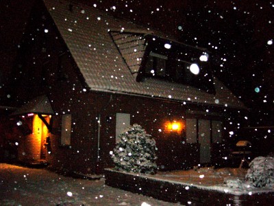 Schnee und Katzen 011.jpg