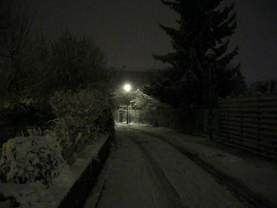 Schnee und Katzen 014.jpg