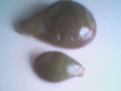Picture 1.jpg