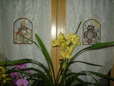 orchideen.jpg