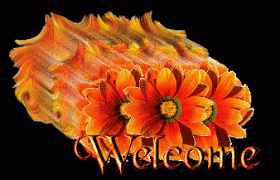 welcometag2525281252529.gif