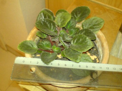 DSC00390.JPG
