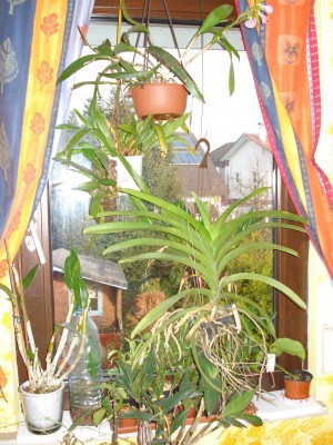 November 2008 002.jpg