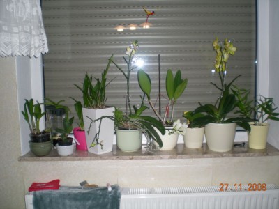 DSCN20780001.JPG
