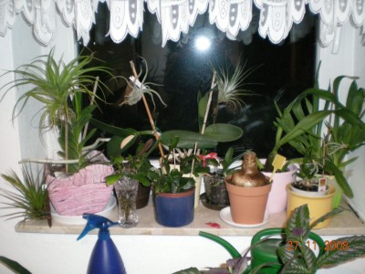 DSCN20740001.JPG