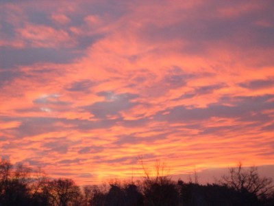 Morgenrot am 28.11.08.JPG
