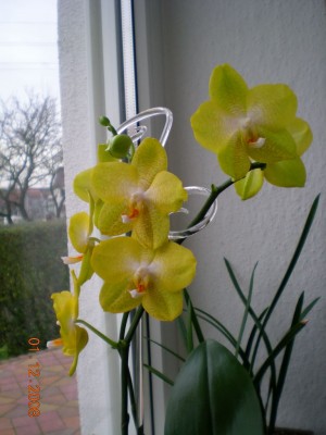 DSCN21020001.JPG