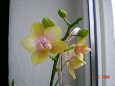 DSCN21010001.JPG