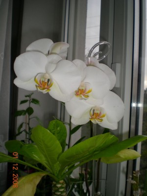 DSCN20870001.JPG