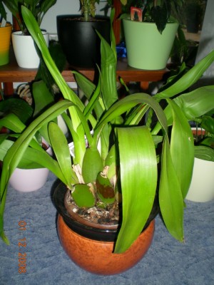 DSCN20970001.JPG
