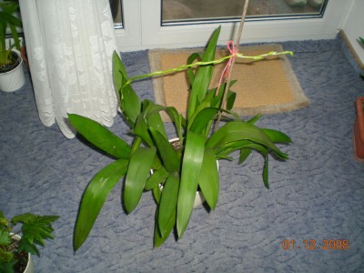 DSCN20940001.JPG