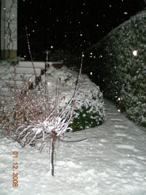 DSCN21150001.JPG
