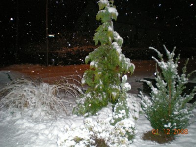 DSCN21130001.JPG