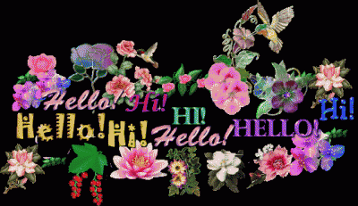 hallo_www-animaatjes-nl.gif