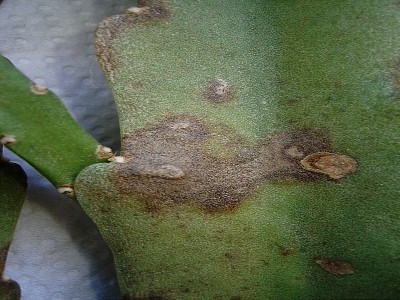 DSCI0003.JPG