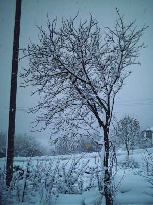 03_12_08 018.jpg
