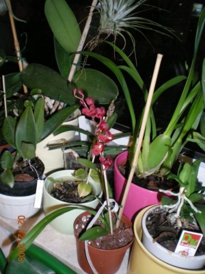 DSCN21200001.JPG