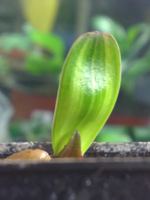 Photo neu 035.jpg