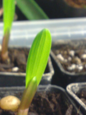 Photo neu 034.jpg