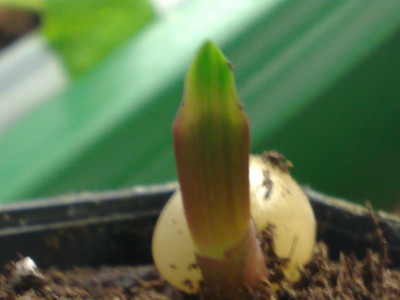 Photo neu 026.jpg