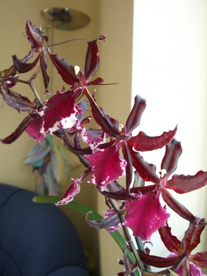 Bild 001.jpg