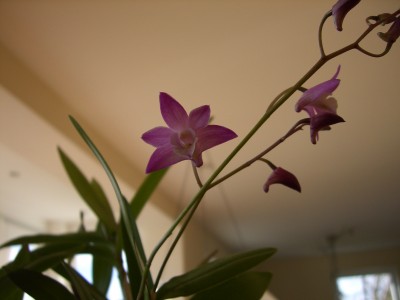 Bild 004.jpg