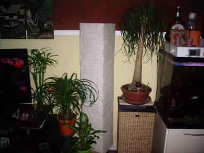 Pflanzen 018.jpg