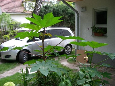 K800_CIMG1594.JPG
