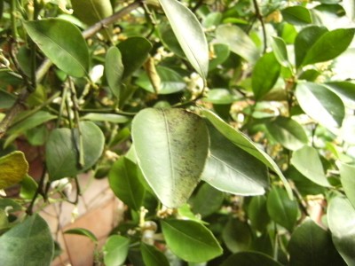 DSCF2213.JPG