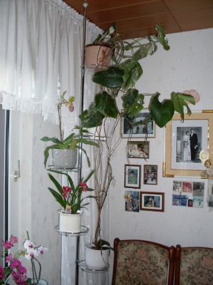 GreenWichtel_018_2000x2667.jpg