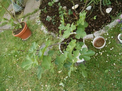 RIMG0171.JPG