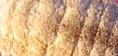 das kennt niemand.jpg