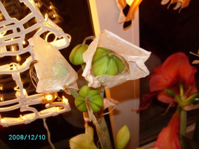 PICT0359.JPG