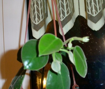 PICT0160.JPG