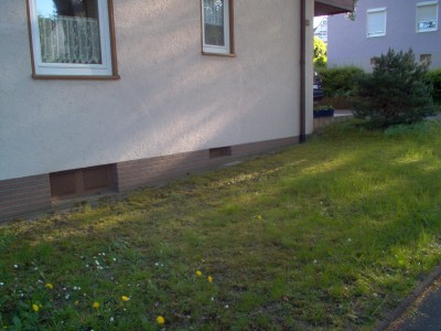 rasen 003.jpg