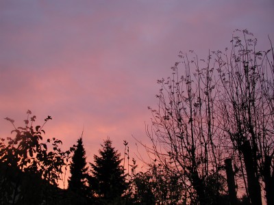 P1010001.JPG