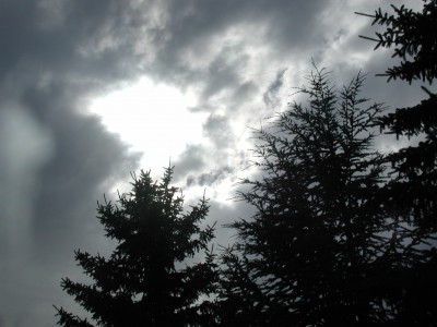 P1010165.JPG